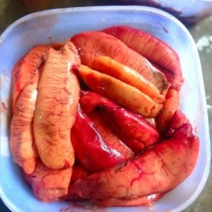 ইলিশের ডিম